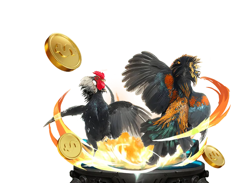 Khuyến mãi độc quyền tại Kuwin