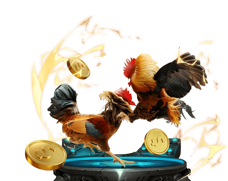 Bảo mật và hỗ trợ khách hàng Kuwin